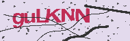 Code captcha